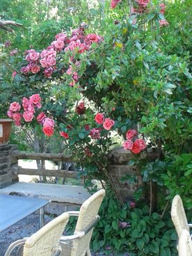 Mesas de la terraza y flores